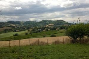 V003998 ANCONA - ZONA CANDIA