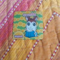 Magnete card lenticolare Hamtaro Tantasà 
