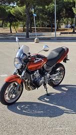 Honda Hornet