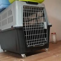 Kennel per cani medio grandi