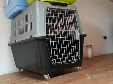 Kennel per cani medio grandi