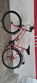 Mountain bike da donna ruota 26