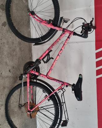 Mountain bike da donna ruota 26