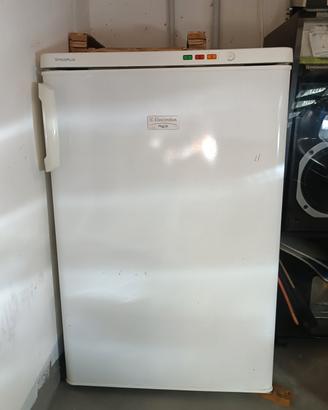 Congelatore Electrolux Rex