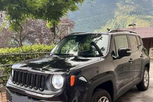 Renegade 2.0 4x4