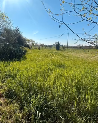 S2 terreno edificabile in zona villa fiorita