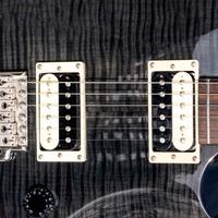 Coppia pickup PRS standard SE