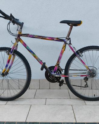 Mountain bike
