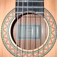Chitarra Classica Yamaha C40M