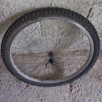 ruota bici