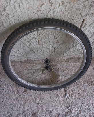 ruota bici