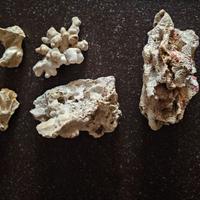 Corralite per acquari