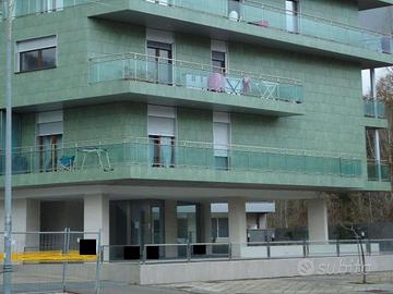 R.G.E. 229/2024 Salerno