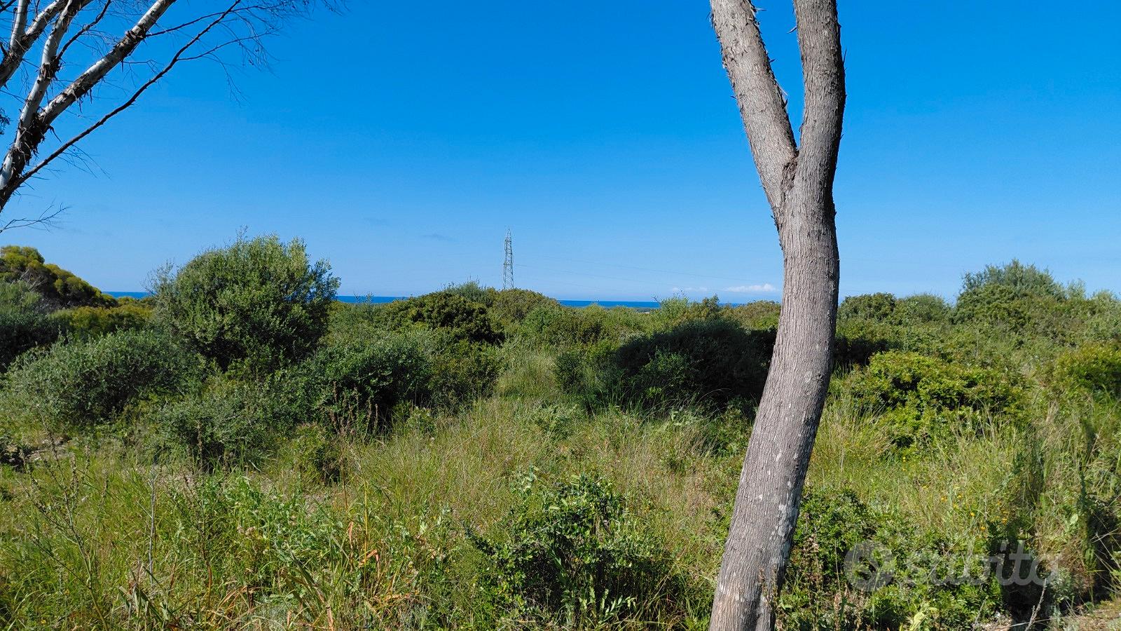 Terreno baddelonga russeglia - sassari - Vista 5