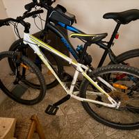 Bici mountain bike GT aggressor