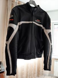 giacca in pelle spidi