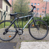 Bicicletta Bianchi spillo