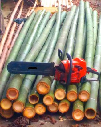 Arredare con il bambù - canne di bambu in Italia