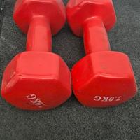 manubri 7 kg