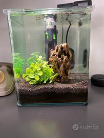 Acquario Cube AMTRA 20 litri