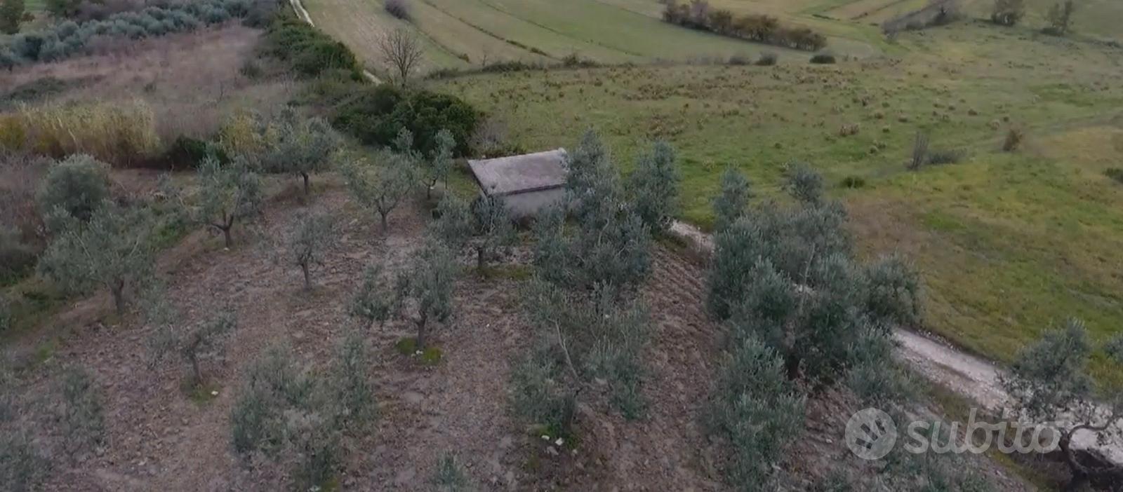 Uliveto - Vista 5