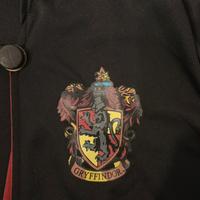 Costume Harry Potter