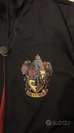 Costume Harry Potter