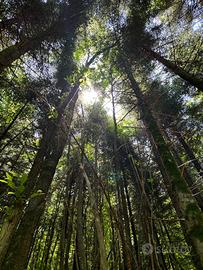 Terreno a Piano Sinatico Pistoia
