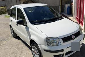 Panda 169 anno 2009
