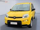 fiat-panda-1-0-firefly-s-s-hybrid-pandina