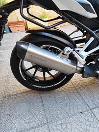 Terminale scarico Dominator 