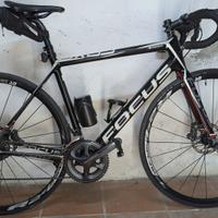 Focus Cayo Evo taglia M (54)