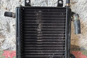 Radiatore aerox 50cc originale