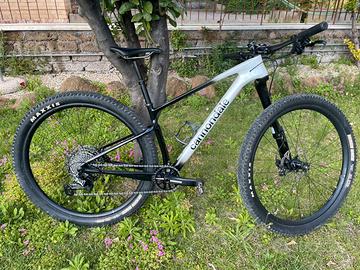 Cannondale scalpel ht