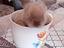 Immagine 5