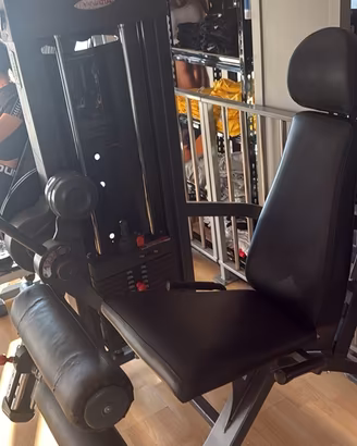 SEATED LEG CURL PANATTA EXPRESSION