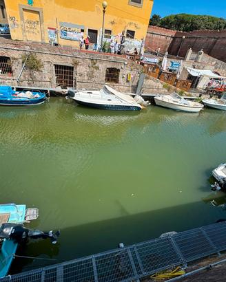 Posto barca Livorno