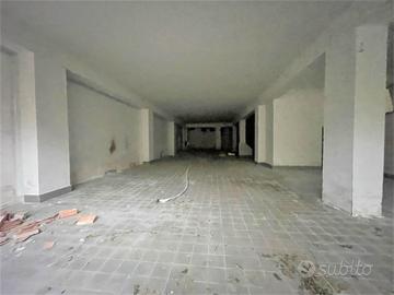 Rif.RI195| capannone catanzaro