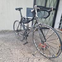 Bici da corsa Colnago Star Carbon C50