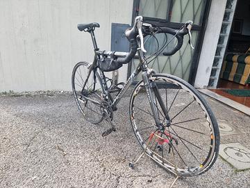Bici da corsa Colnago Star Carbon C50