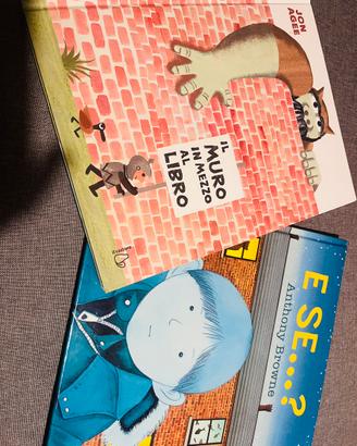 E se… il muro in mezzo al libro