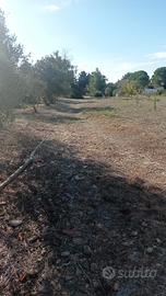 Terreno agricolo in Loc Cuccuru Angius