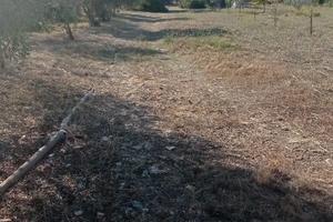 Terreno agricolo in Loc Cuccuru Angius