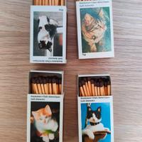 Scatole Fiammiferi Gatti Domestici
