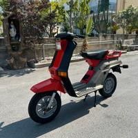 Gilera gsa