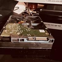 Wd disco interno 1 tb