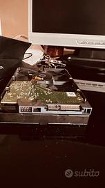 Wd disco interno 1 tb