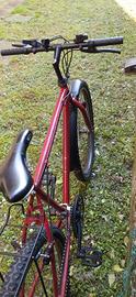 mtb bicicletta 