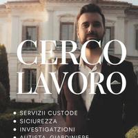 Addetto sicurezza / investigazioni