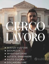 Addetto sicurezza / investigazioni